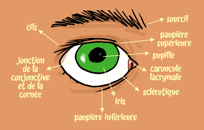 Vue 1 Vue 1